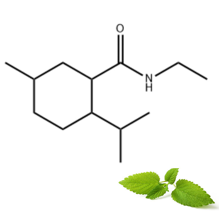 Ejen-Penyejuk-WS-3